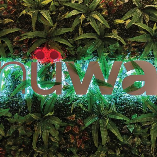 NUWA_02